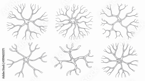 A detailed illustration displays six distinct neuron cells with branching dendrites and a central cell body resembling a starburst pattern high quality professional modern elegant stylish