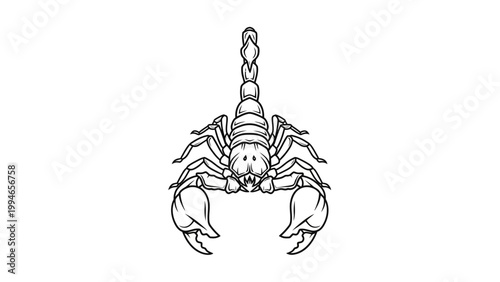 Stylized Scorpion Line Art Illustration for Design