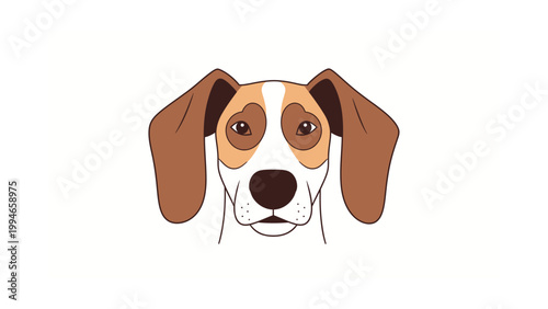 A cute brown and white dog's face with floppy ears looks directly forward.