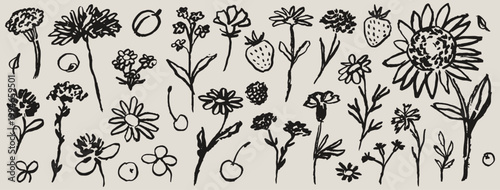 Contemporary abstract minimal tattoo flower and berries collection. Ink hand drawn wild flowers vector illustration set. Plants sketch art in charcoal drawing style. Pencil drawn floral elements.