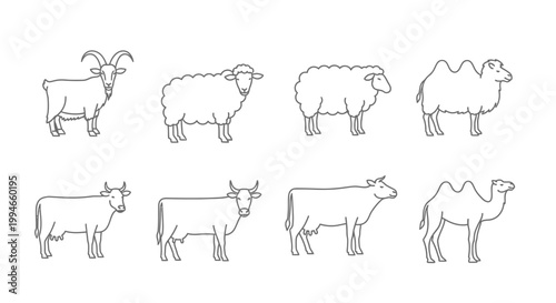 Farm Animals Line Art Collection: Goat, Sheep, Cow, Camel - Simple Vector Icons