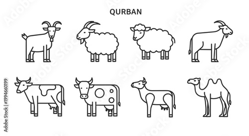 Qurban Animals Icon Set: Goat, Sheep, Cow, Camel - Islamic Sacrifice Vector Illustration