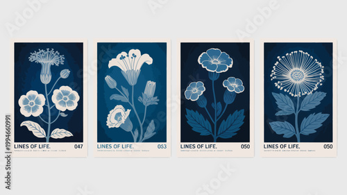 A collection of four cyanotype floral prints showcases delicate botanical specimens in varying stages of bloom and detail high quality professional detailed modern elegant stylish clean