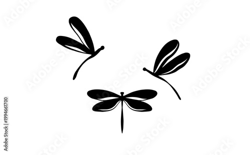 Silhouette vector dragonfly. Logo dragonfly. Wildlife illustration Isolated object on white background