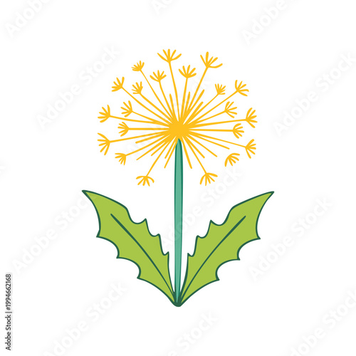 Whimsical Dandelion Flower Illustration with Jagged Green Leaves and Yellow Seeds