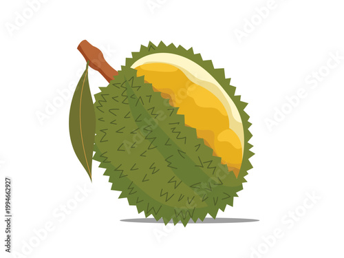 Durian, tropical exotic fruit delight