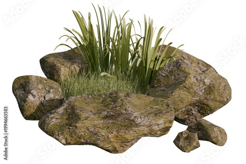 Lush Green Grass and Tall Plants Growing Amidst Natural Rock Formation on White Background