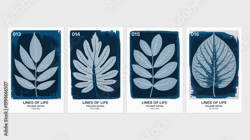 A series of four cyanotype prints depict detailed botanical specimens showcasing the intricate vein structures of various leaves high quality professional modern elegant stylish clean crisp