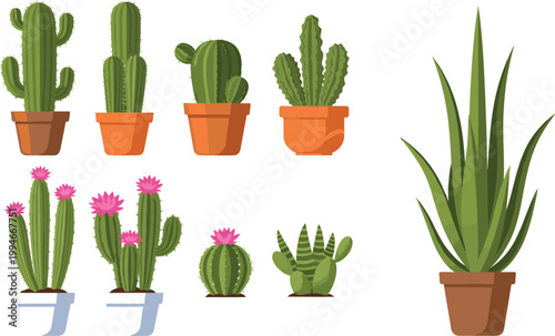 Cactus and aloe plants collection in terracotta pots with blooming desert succulents and indoor houseplant decor vector illustration set
