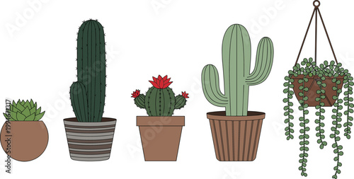 Potted cactus and succulent plants collection with hanging plant pot and decorative houseplants vector illustration set