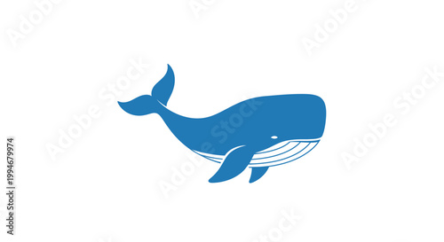 Blue Whale Swimming in Ocean Water.