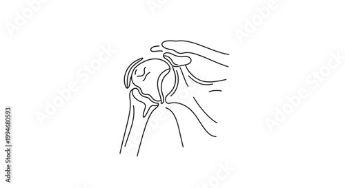 Human Knee Joint Medical Illustration.