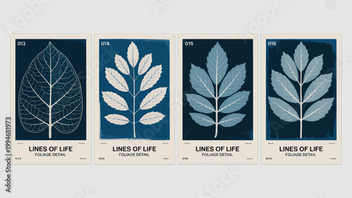 Tableau sur toile A series of four cyanotype prints showcases detailed botanical specimens specifi