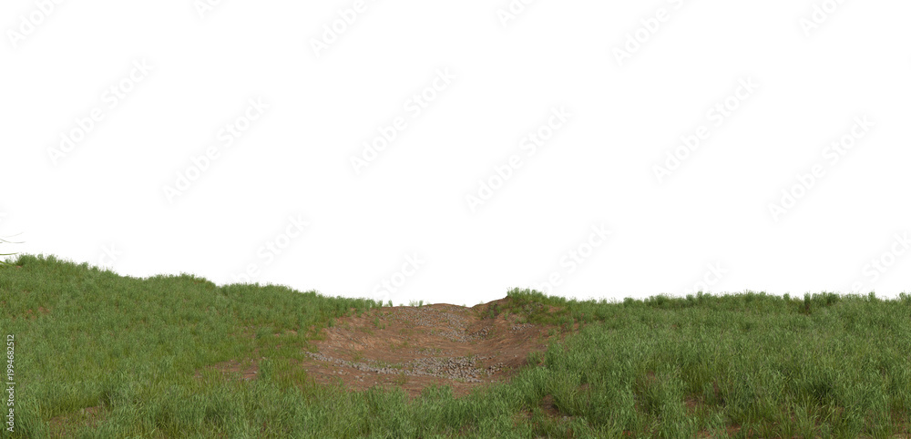 Fototapeta premium A panoramic view of a grassy field with a patch of bare earth