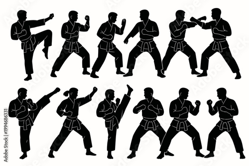 Martial artist fighter silhouette set showing kicks blocks stances and combat poses.