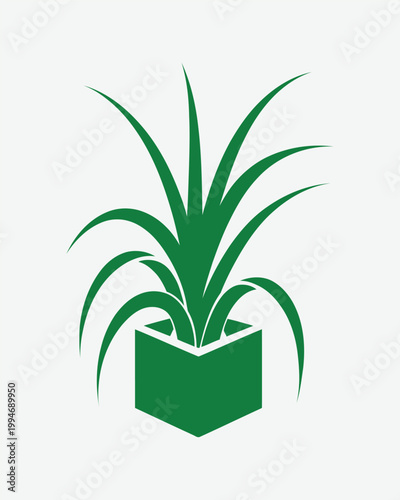 A fresh green aloe vera plant with thick herbal leaves grows in a decorative pot as a natural garden ingredient for botany growth