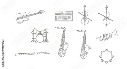 Musical Instruments for Orchestra Performance.