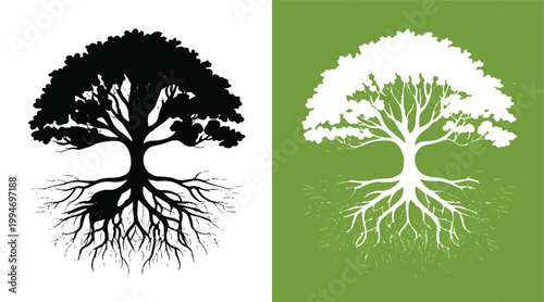 Trees Silhouette: A striking image of an oak tree silhouette against varied backgrounds, its robust form symbolizes strength and growth, capturing nature's enduring power and tranquility.