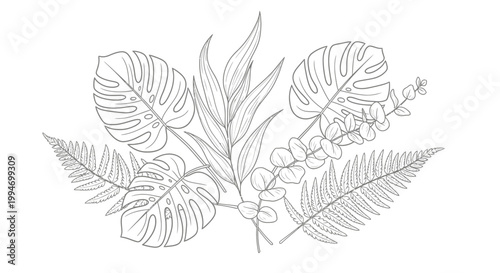 Botanical line art arrangement with monstera, fern, and eucalyptus leaves