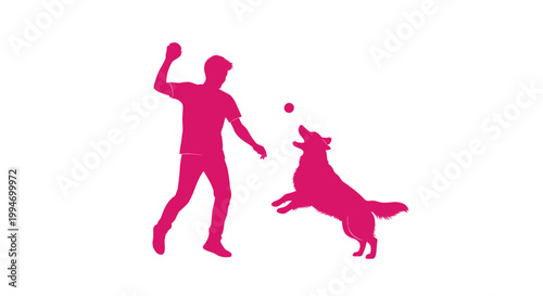 Person playing fetch with dog jumping for ball silhouette
