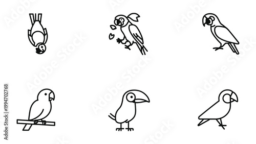 Cuadro en lienzo Simplified Avian Outlines: A collection of minimalist illustrations showcasing various bird species, perfect for graphic design elements and educational content