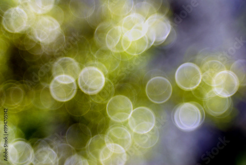 Bright spheres of early spring in Italy,April 17,2026.