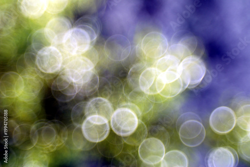 Bright spheres of early spring in Italy,April 17,2026.