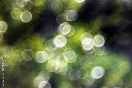 Bright spheres of early spring in Italy,April 17,2026.