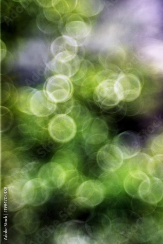 Bright spheres of early spring in Italy,April 17,2026.