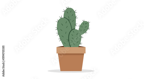 Prickly Green Cactus Plant Closeup.