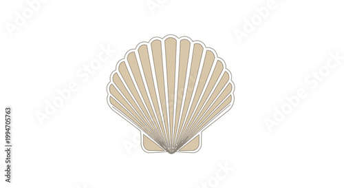 Scallop Shell Close Up Detail.