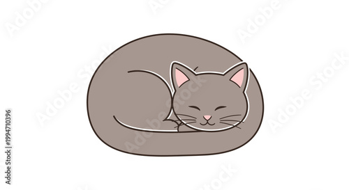 Sleeping Gray Cat Curled Up.
