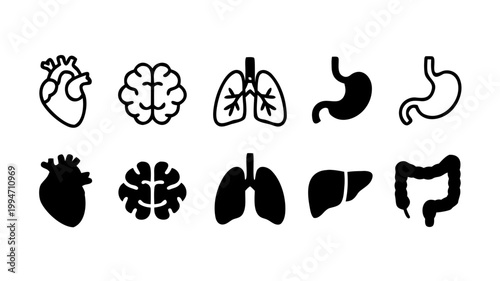 Set of human internal organ silhouettes heart brain