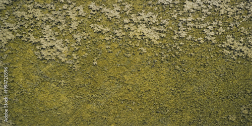 A macro texture of green snake skin reveals a natural pattern of moss and lichen on a rough stone surface with abstract yellow and brown hues