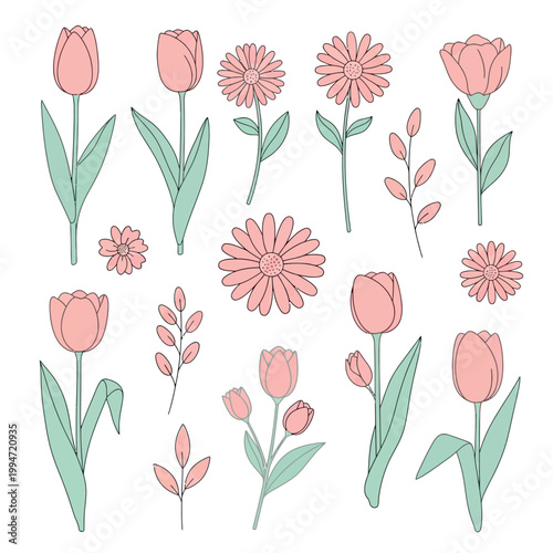Hand Drawn Tulip Flowers Garden Floral Elements Pack