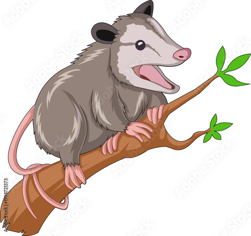 Cute Opossum Standing on Tree Branch, Funny Vector Art