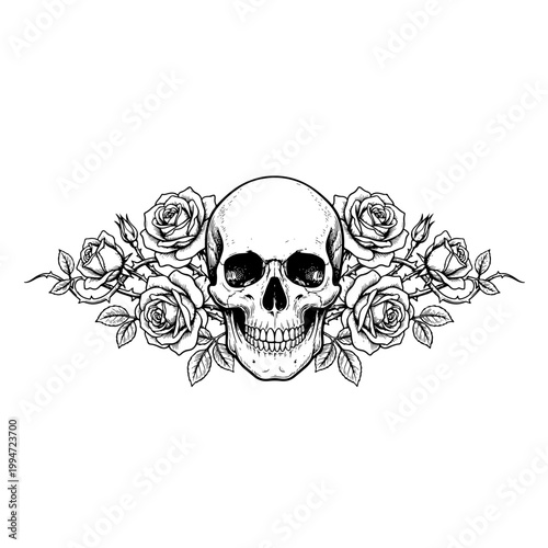 Skull Surrounded by Roses and Leaves.