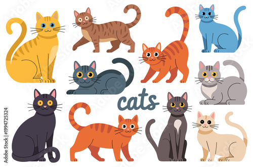 Playful Cats Collection: A collection of various cat breeds in different colors, capturing their charm. Animal Illustration, Domestic animals, adorable cat design, various cat pose.