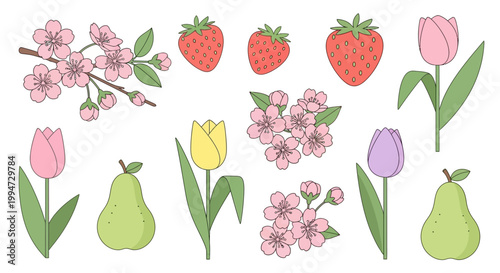 Colorful illustration of flowers and fruits on white background with strawberries and pears