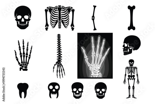 Black and white of human body parts and organs human anatomy