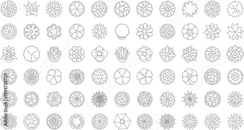 Set of Sixty Diverse Architectural Tree and Shrub Top View Vector Icons for Landscape Design and Site Planning