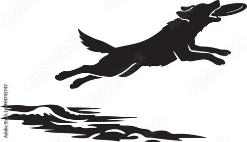 silhouette of frisbee dog catching disc mid-air on shore