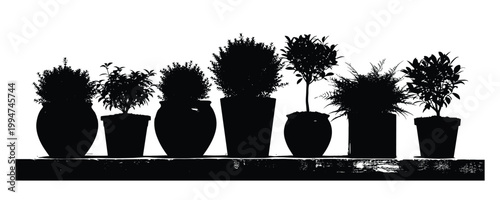 Silhouette of potted plants on shelf vector.