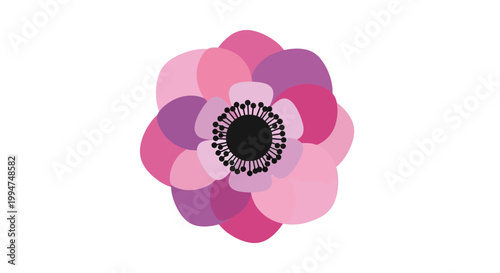 A stylized pink and purple flower illustration with a black center, featuring overlapping petals in varying shades, set against a white background