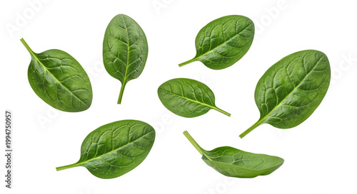 Fresh Baby Spinach Leaves Set Isolated on White Background for Food and Health Concepts