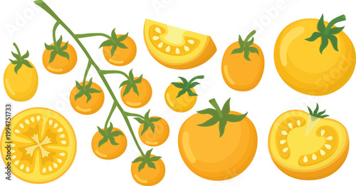 Illustration with set of yellow tomatoes in various shapes. Set of whole vegetables, branch, half and slice. 