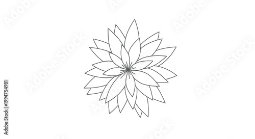 A delicate detailed line drawing depicts a stylized flower blossom with numerous overlapping petals high quality professional modern