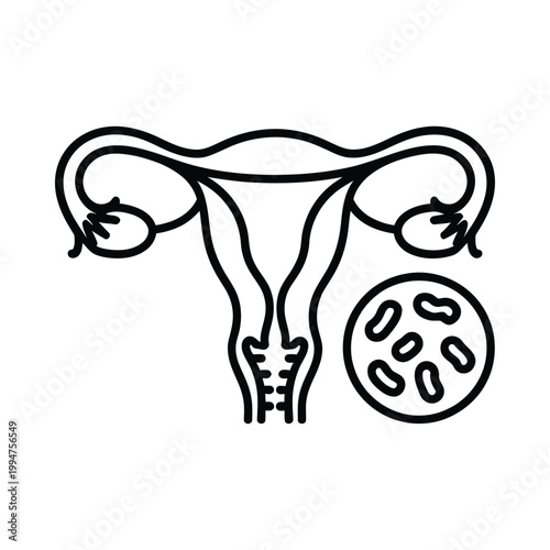 Illustration of a female uterus with ovaries and a magnified cell