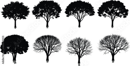 Collection of black tree silhouettes with leafy summer crowns and bare winter branches isolated on white background for landscape design architectural visualization and nature illustrations.