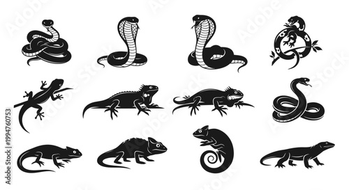 Set of various reptile animal icons including snakes and lizards in silhouette style.